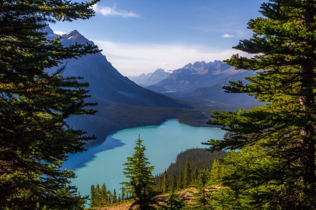 Forest Lake Mountains Landscape Canada