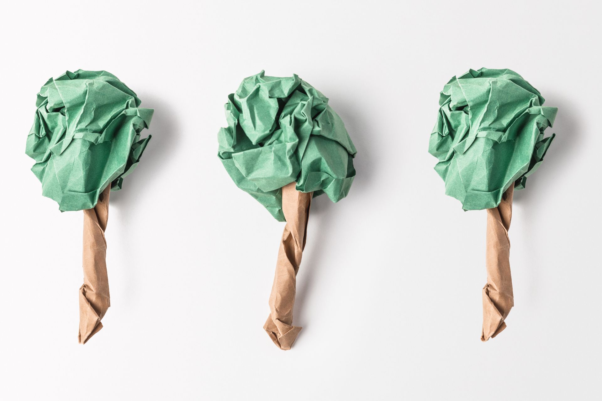 Trees made out of construction paper