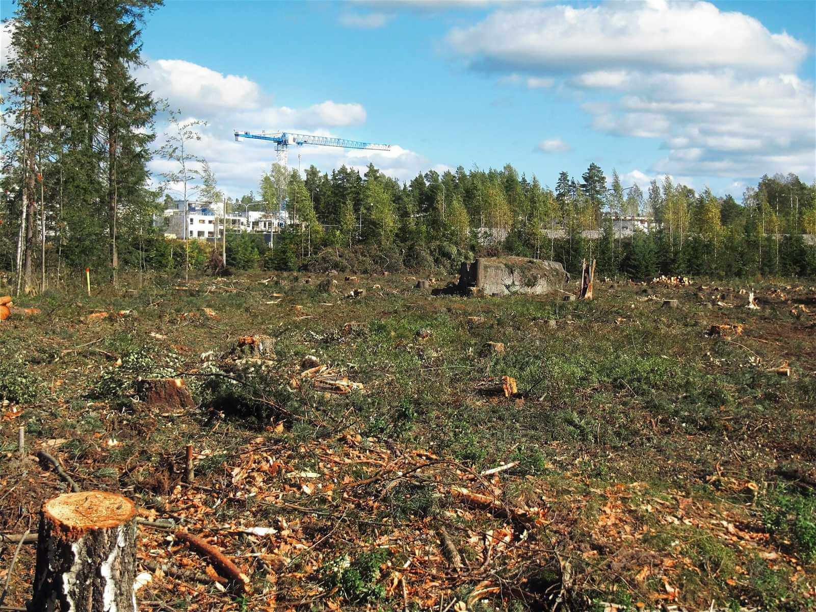 Deforestation Affect Climate Change