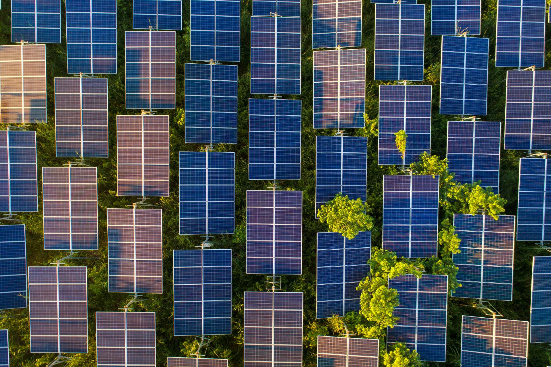 Solar panels that are part of a community solar farm