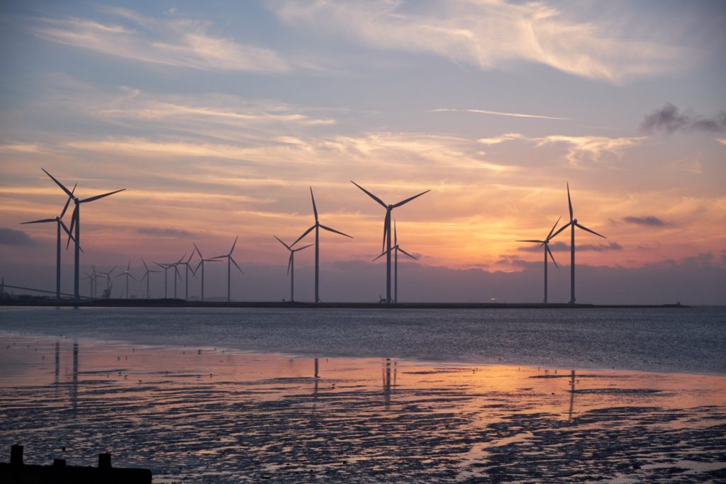 Cluster of wind turbines